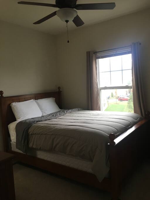 Ceiling fan and window in bedroom