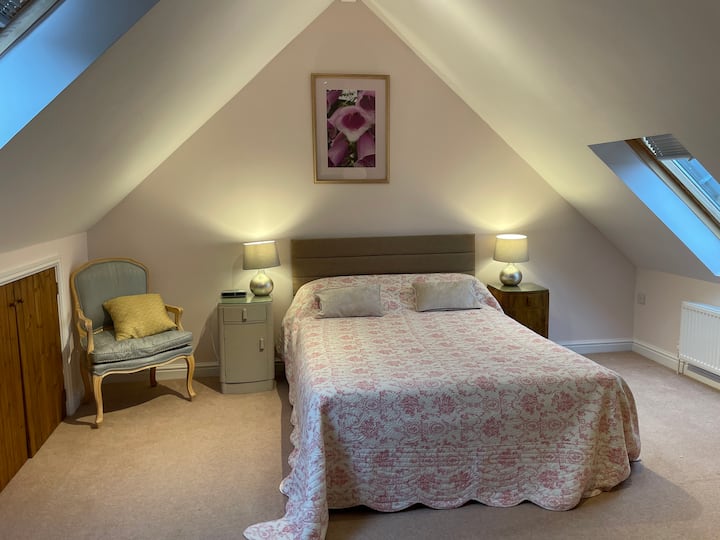 TV con letto king-size nella camera 