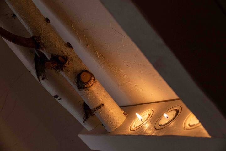 F3 « Tramway,bouleaux,dodo »