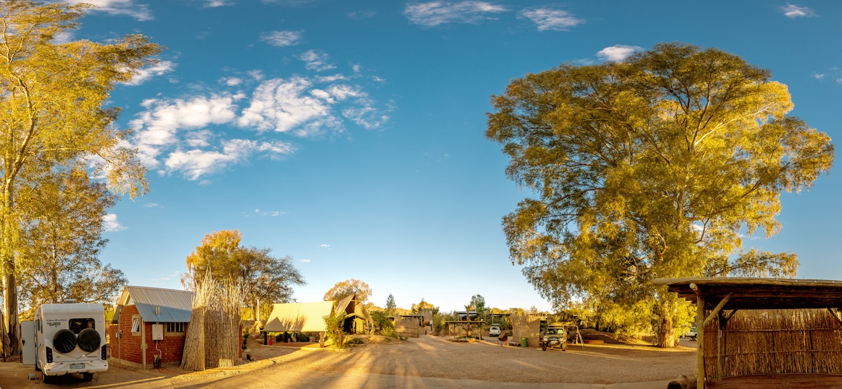 A wide view reveals a tranquil outdoor space with golden trees lining a dirt path. Buildings of varied sizes are visible, with a blend of natural surfaces and rustic architecture, under a clear blue sky with wispy clouds.