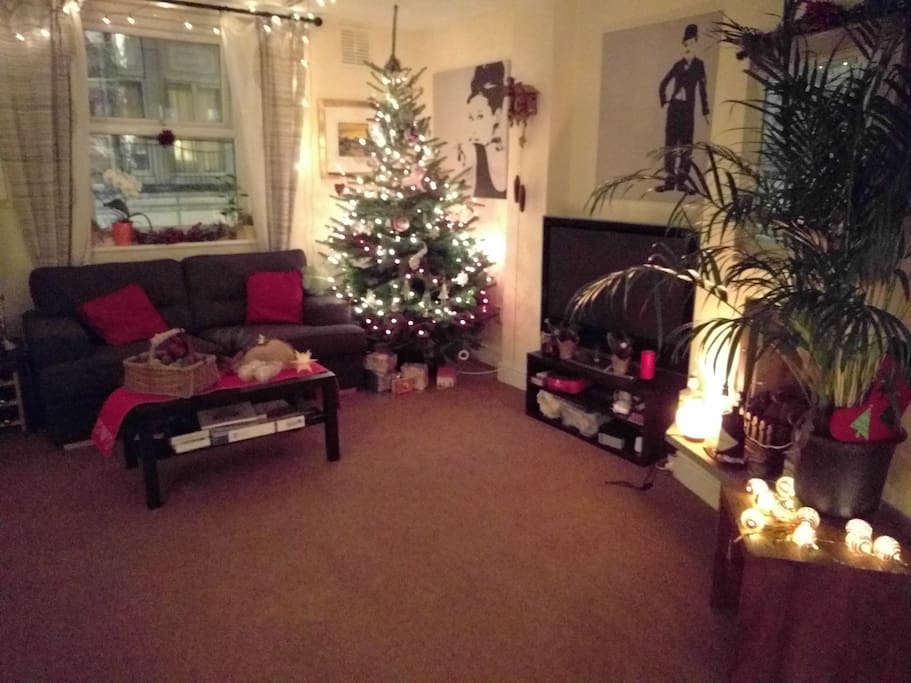 Our Christmas decoration this year