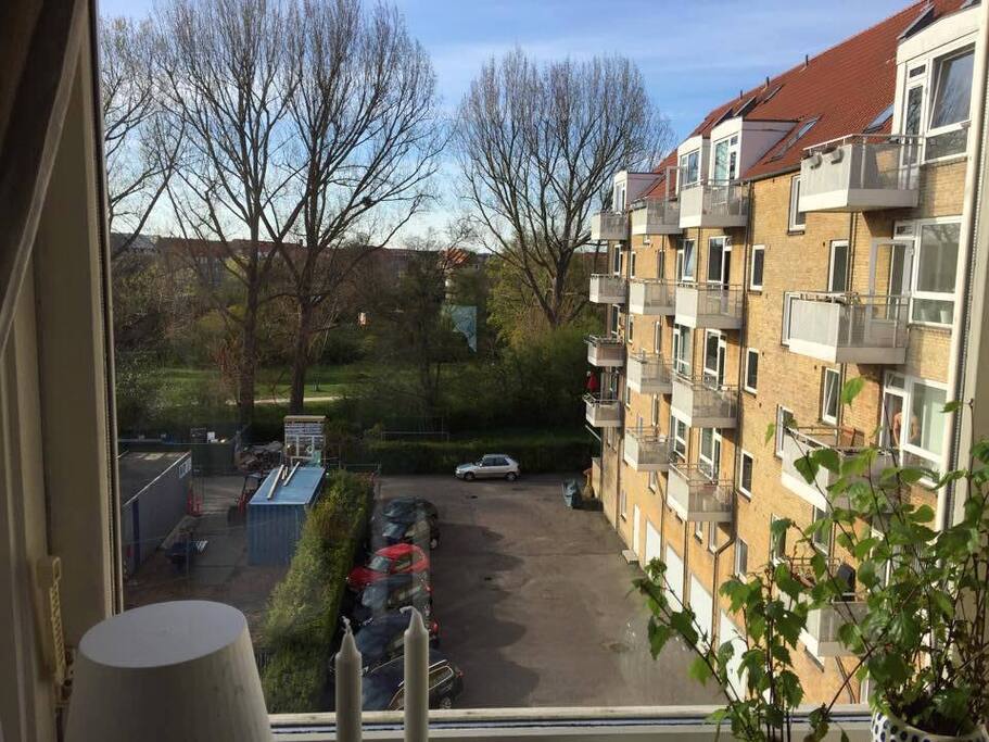 View from your room