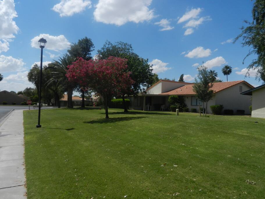 Side Yard