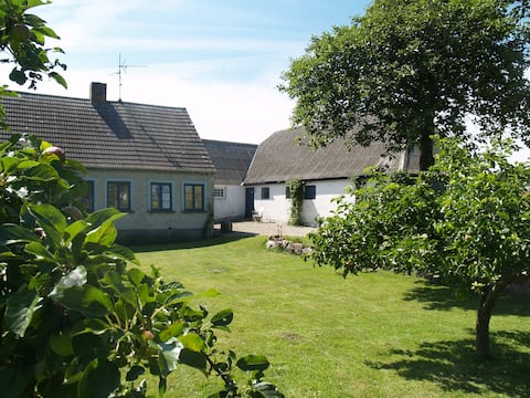 Successful Airbnb property: A Gem on the Danish countryside in Langeland
