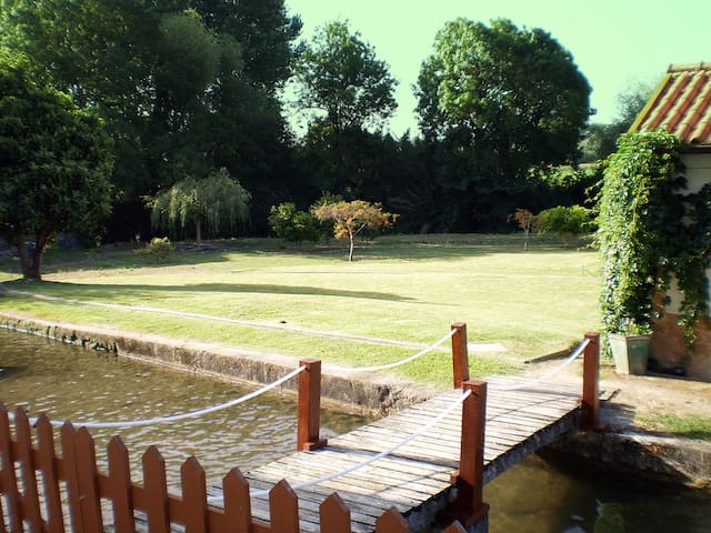 House in a garden with a river