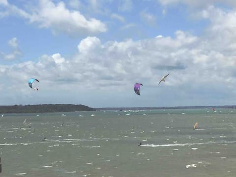 Successful Airbnb property: Sandbanks snug in Studland