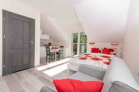 Top performing Airbnb: DELUXE STUDIO # 1/POLAND in Gmina Postomino