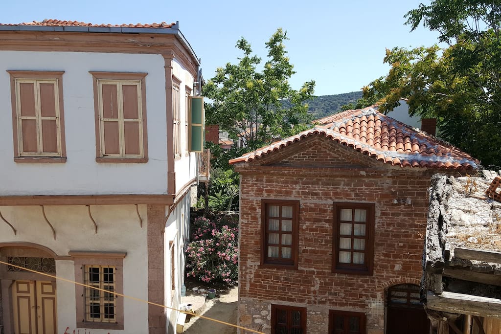The street where the house is located