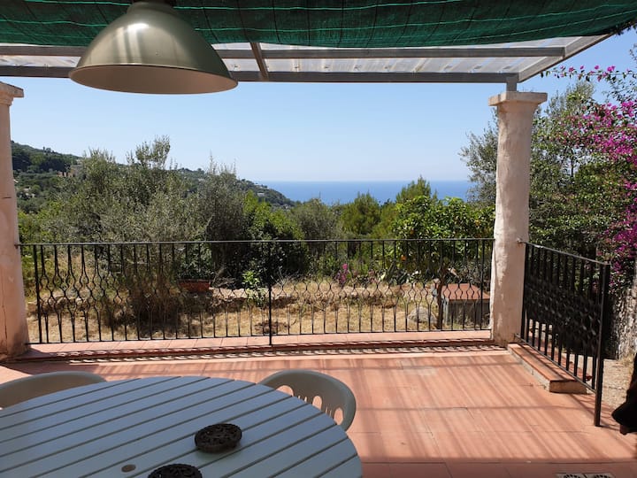 Villetta Con Ampio Giardino. Intera Casa - Anacapri