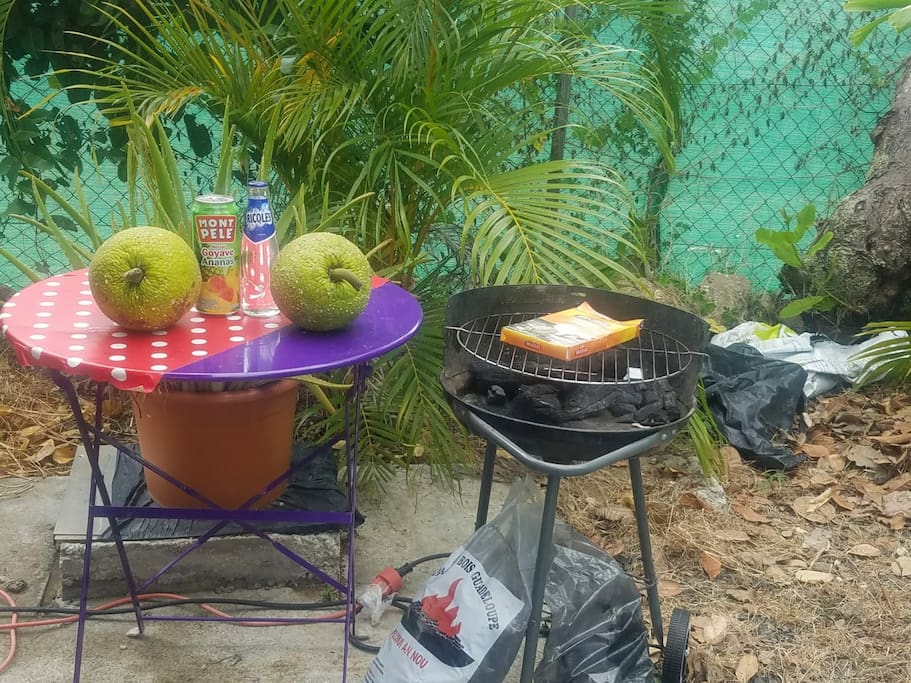 un réel plaisir d'utiliser le barbecue avec les arbres fruitiers que vous pouvez cueillir.