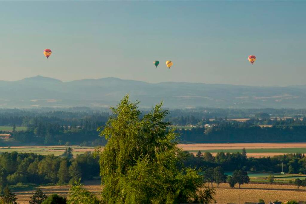 Dundee Vineyard View Estate Houses for Rent in Dundee, Oregon, United