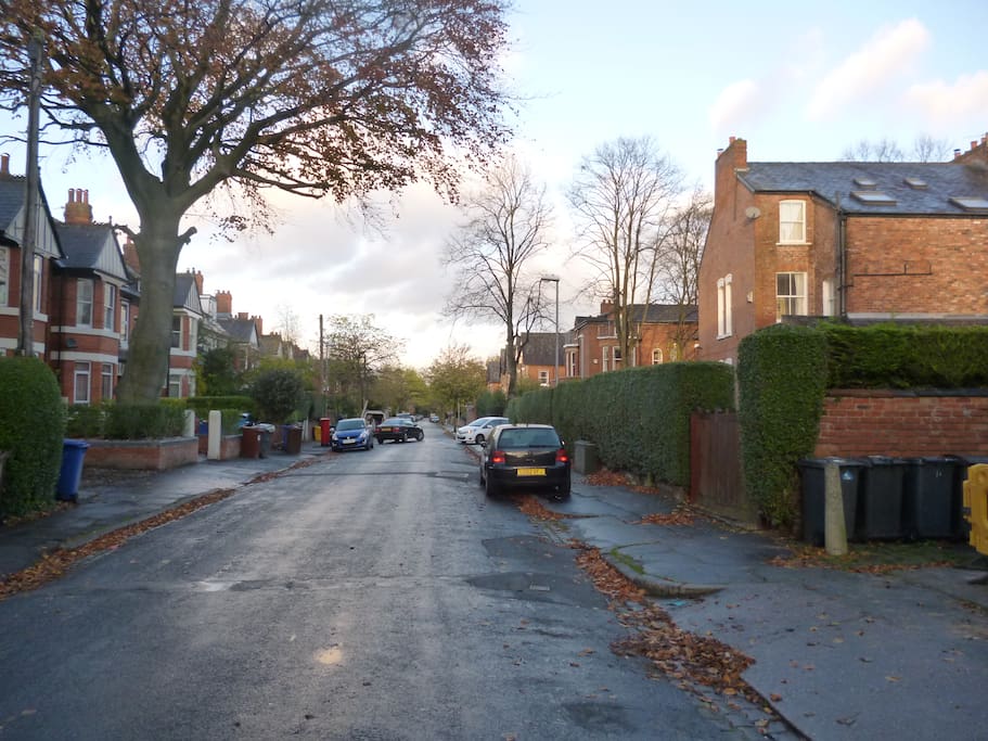 Leafy Street Scene