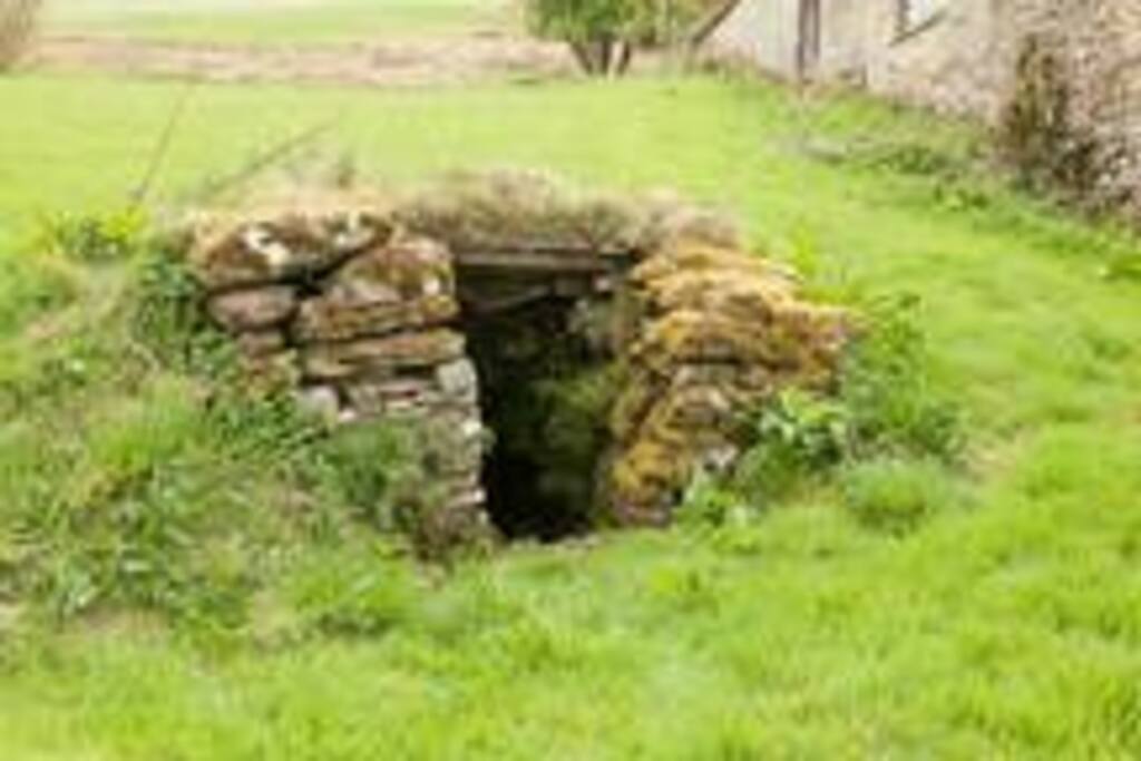 entrance to the "Roman Well", one of the intriguing features of the Rhiwiau