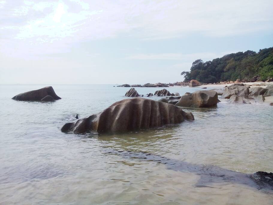 Teluk Kalong Beach