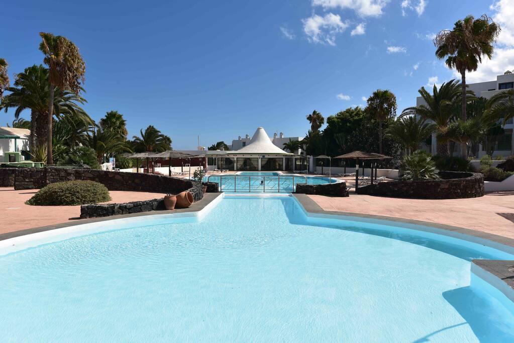 Una piscina de más de 30 mt. de largo.