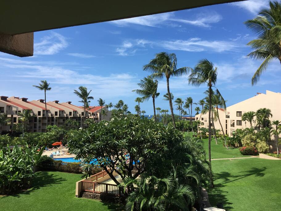 View from Lanai