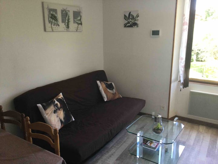 Appartement Pour Deux Ou Trois Personnes - Xonrupt-Longemer