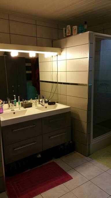 Belle sdb double vasque et grande douche
