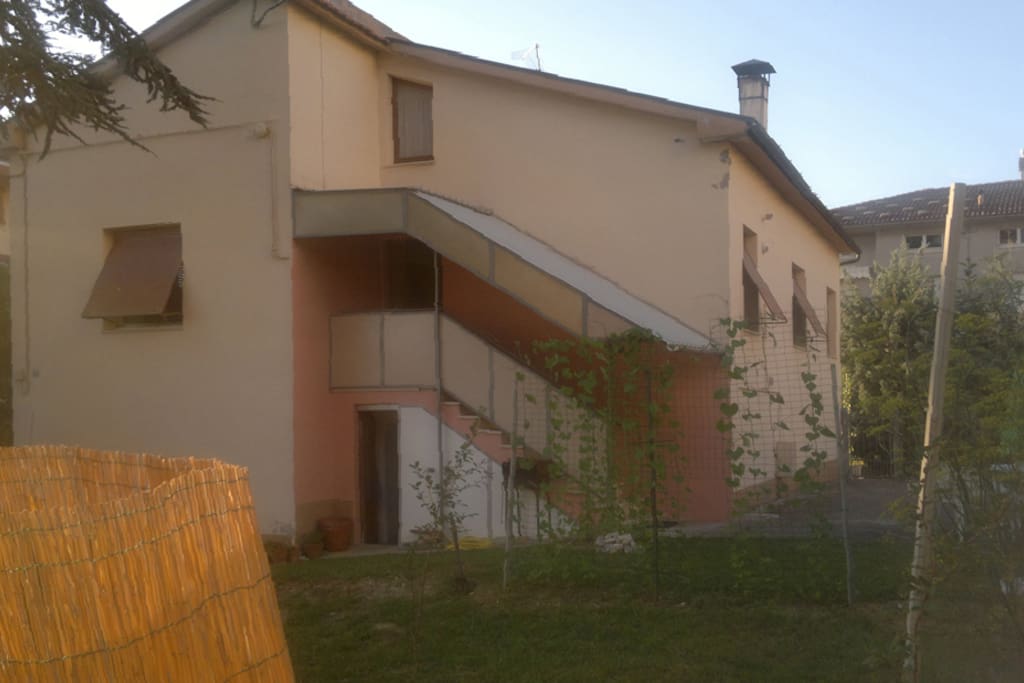 Morning Glory dal giardino