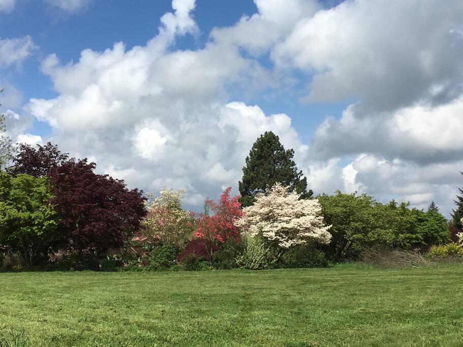 Triskelee Farm