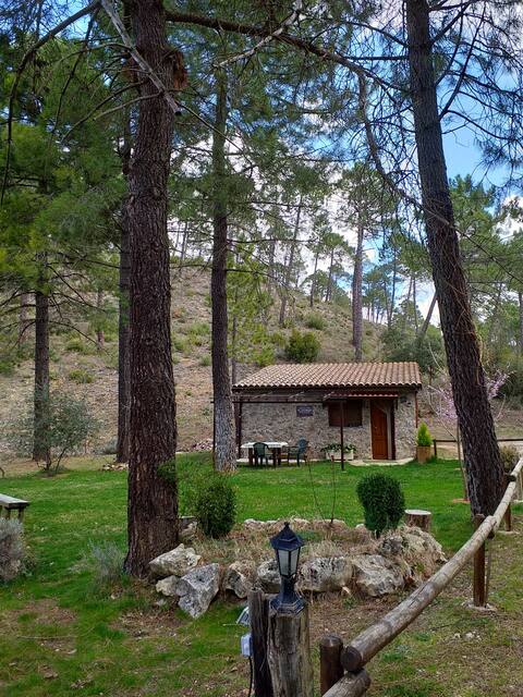 Cabin in the middle of nature