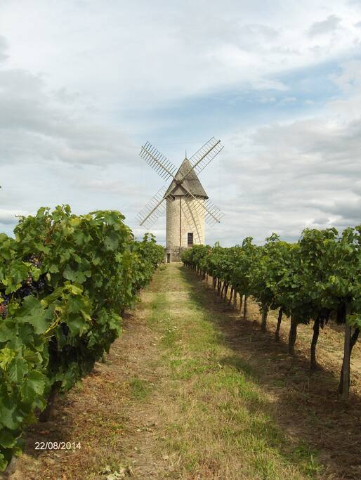 Village Windmill
