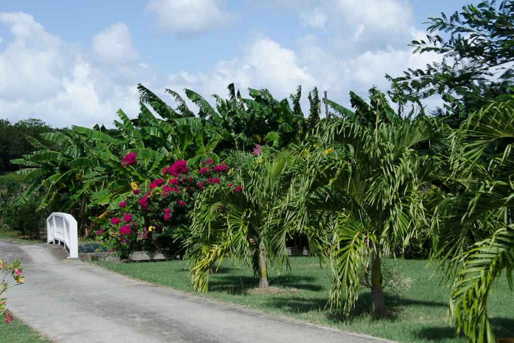 Our Grounds