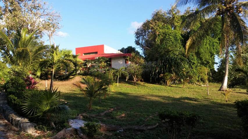 Beautiful House with Mexican Decor