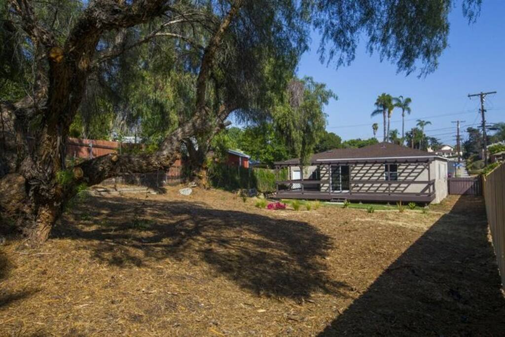 Backyard