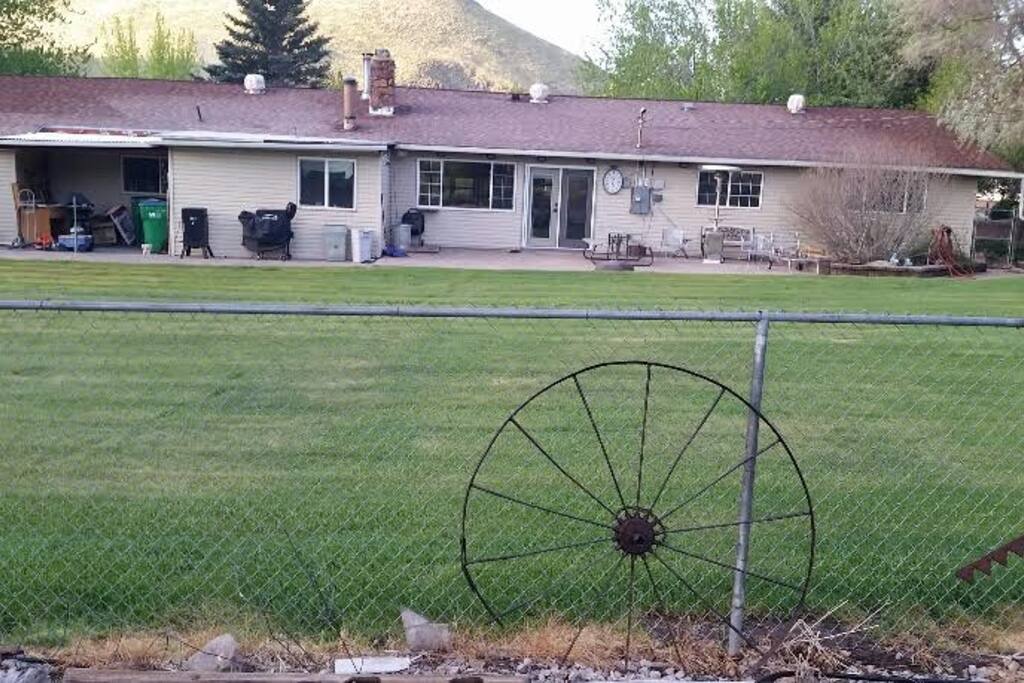 Backyard and patio
