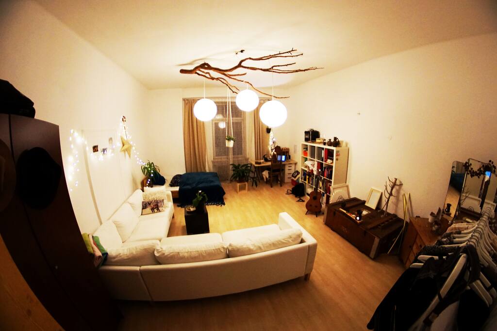 View from the door.