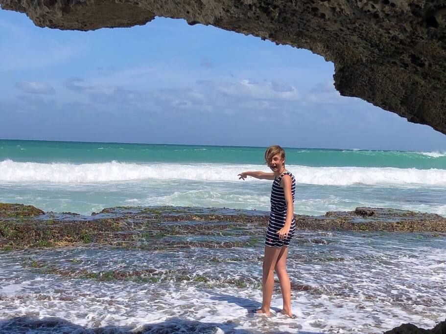 Low tide is great for exploring the shore line.