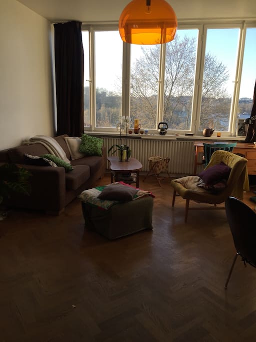 Living room with sofa bed
