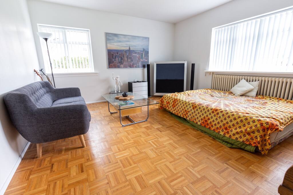 Bedroom/living room