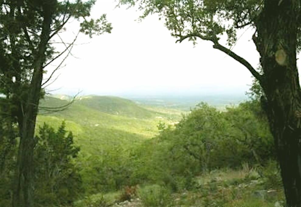 Spring greenery/view from the deck...