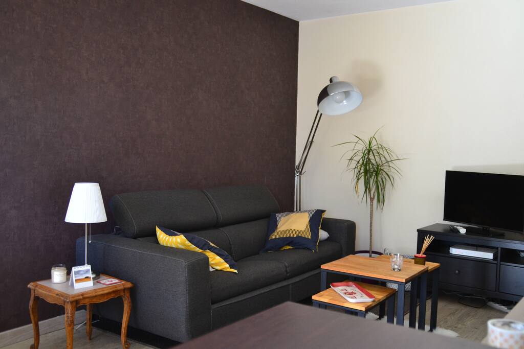 Salon avec télévision, accès internet