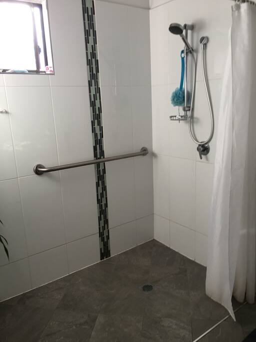 Easy access shower with safety rails.