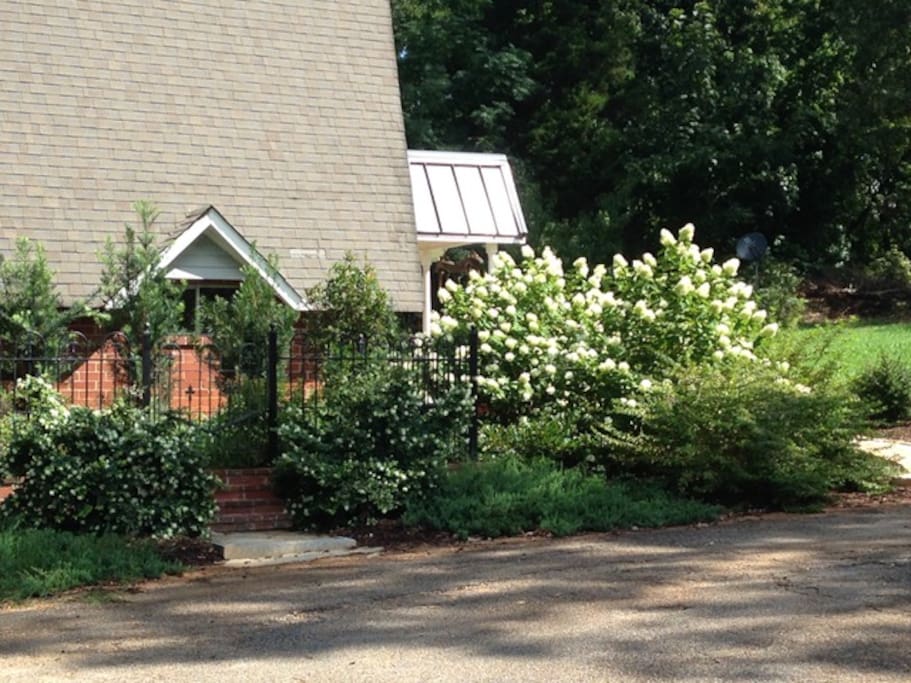View from the garden