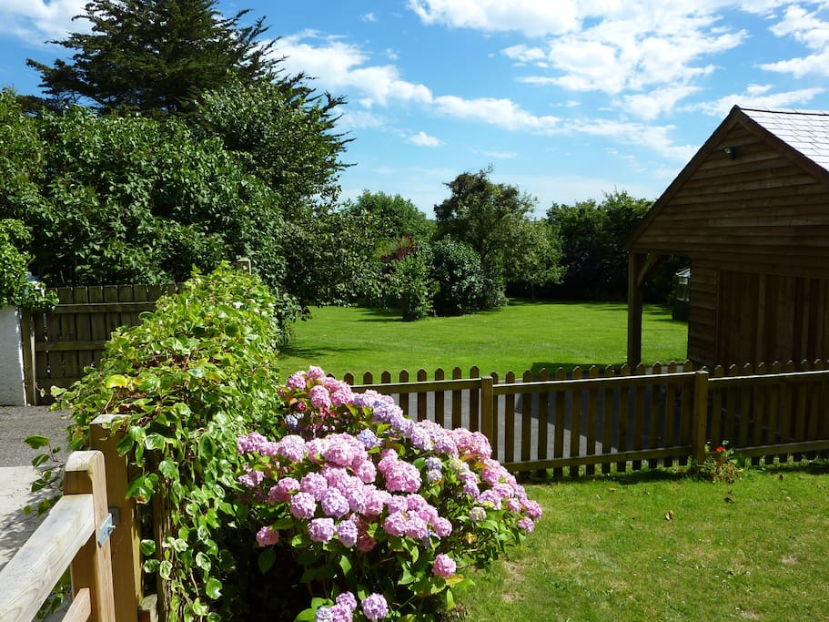 View from garden