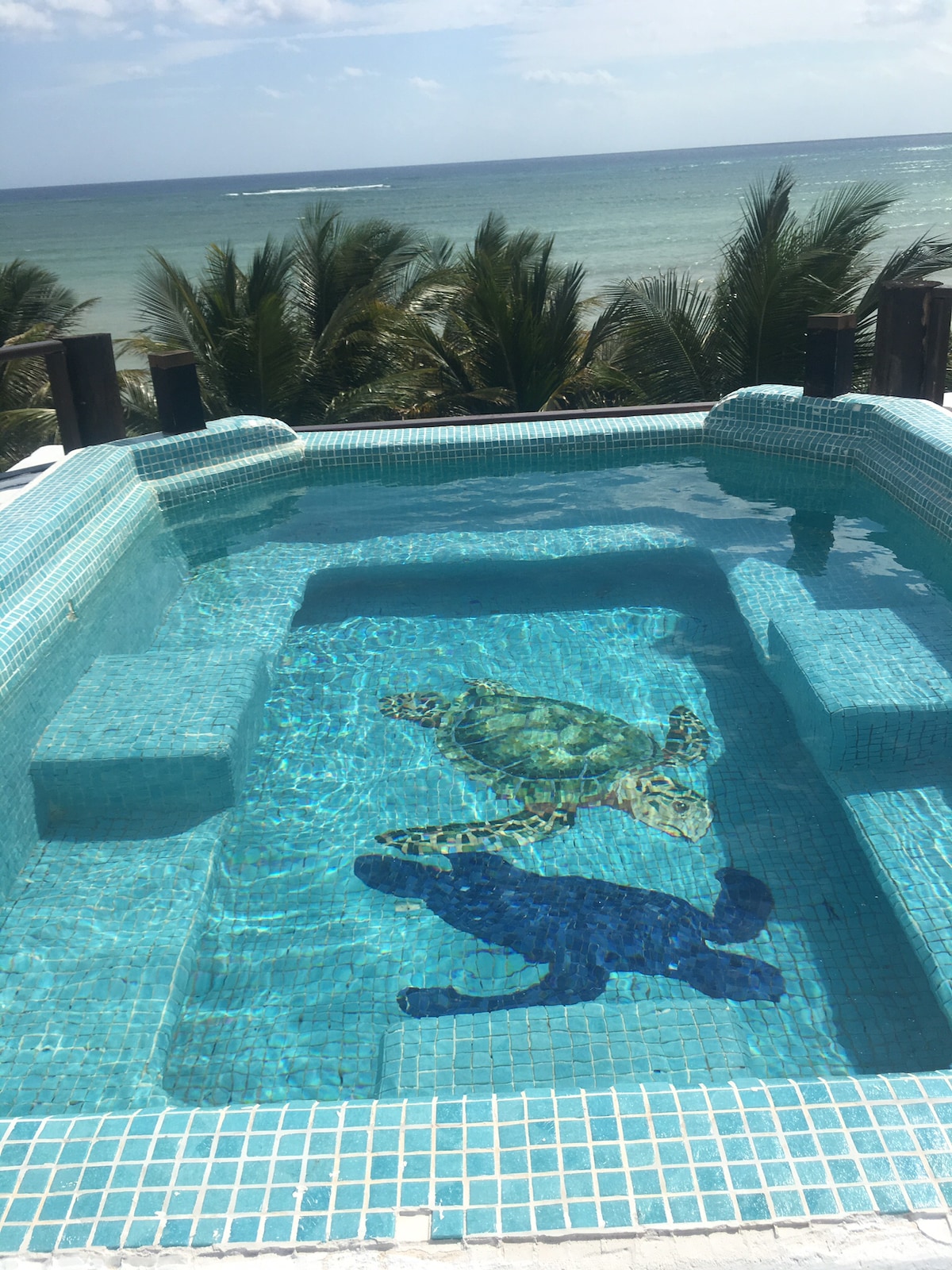 A small plunge pool glistens under sunlight, featuring a mosaic of a turtle and butterfly on its bottom. Surrounding palm trees sway gently in the breeze, and a sweeping ocean view is visible beyond the pool, suggesting a serene and tropical atmosphere.