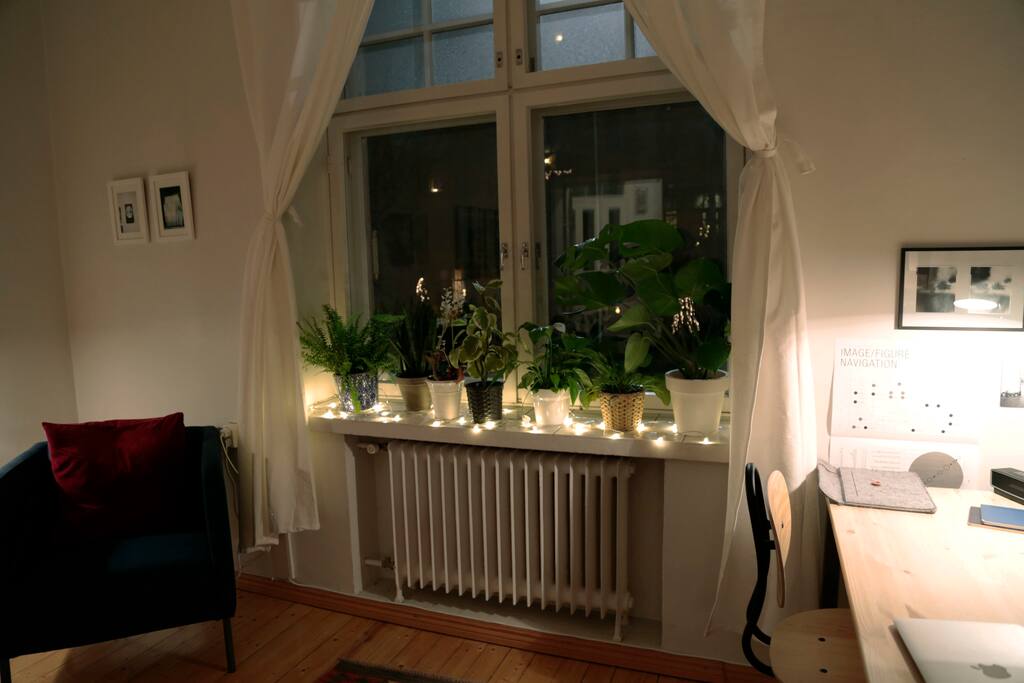 Front window with plants and holiday spirit