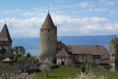 Charming apartment just below the medieval castle