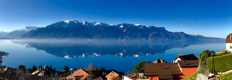 View Magnifique Lac Léman - Chardonne