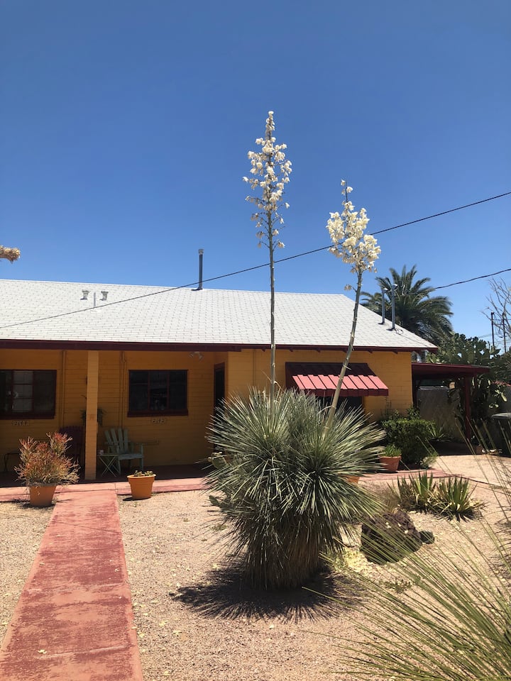 S-corazon De Tucson In Tucson's Heart