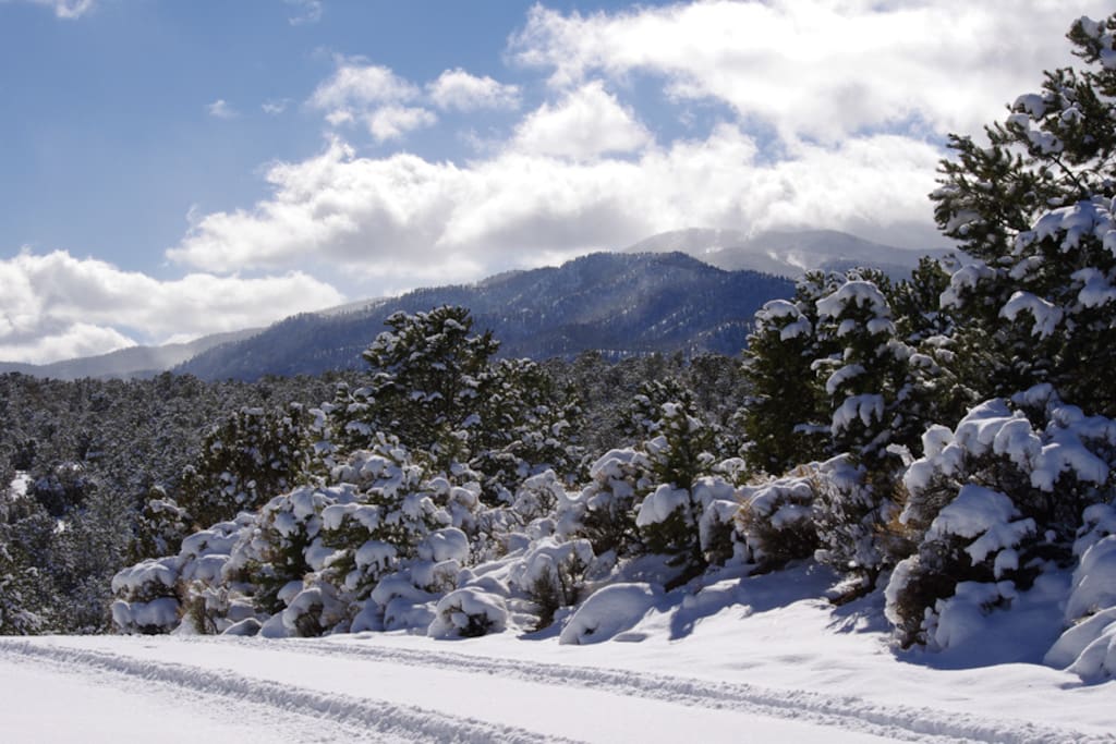 Winter views! It is snowing!