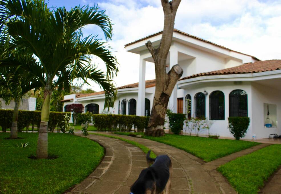 Driveway with double entrance and Car Port