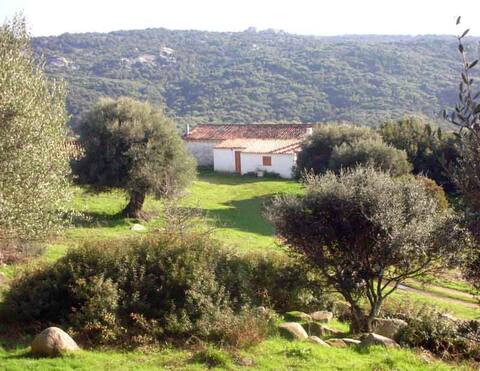 Typical farm house away from it all