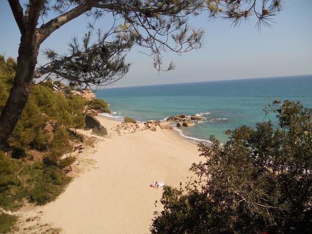 Get 2 dormitoris per lloguer a long beach ca Desktop Wallpaper 2 Dormitoris Per Lloguer A Long Beach Ca