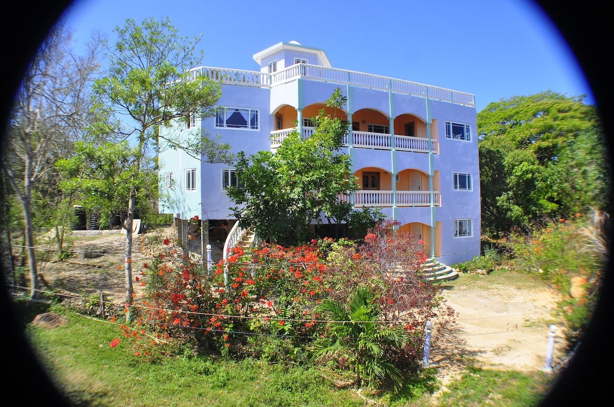 The three-story building features a fresh blue exterior surrounded by vibrant tropical landscaping. Large balconies adorn the second and third floors, offering views of the gardens and surroundings. A pathway leads to the entrance, framed by lush greenery and flowering plants.