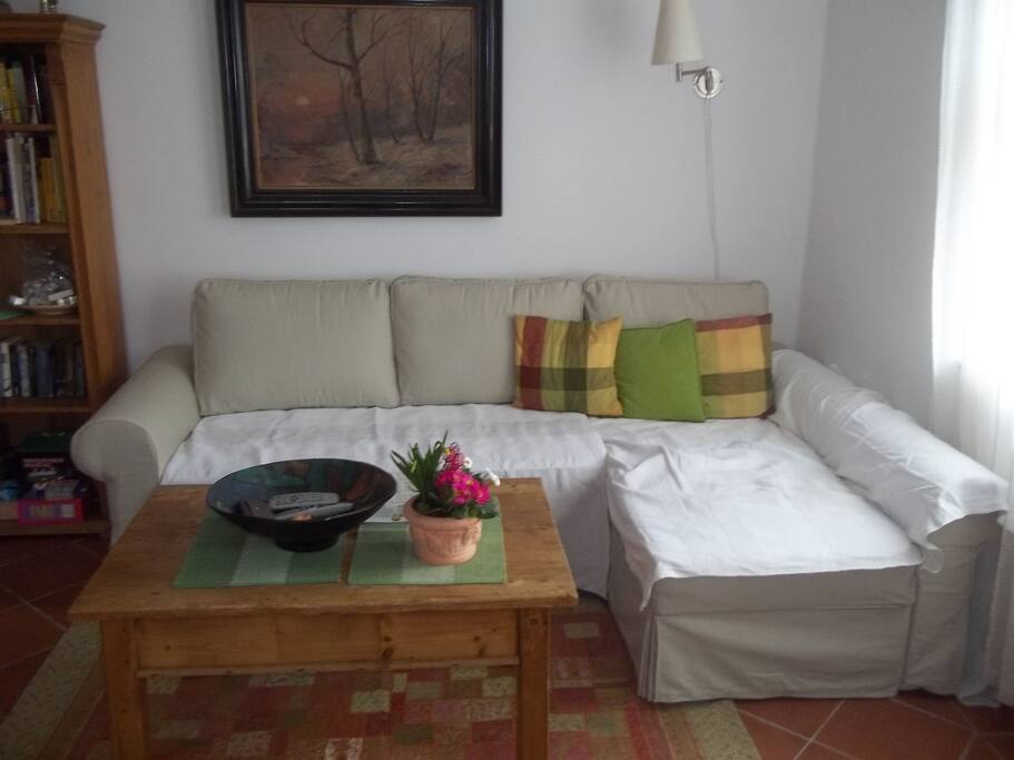 Schlafsofa Wohnzimmer